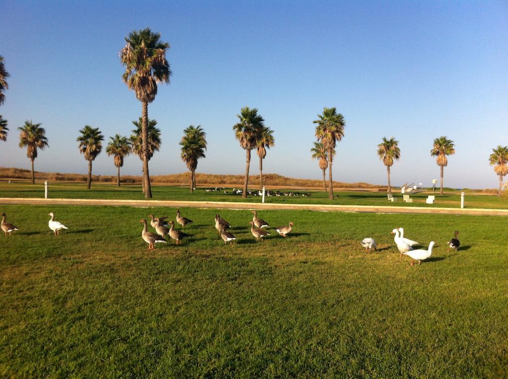 Life Apartments קוסטה בלנה מראה חיצוני תמונה